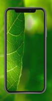 Green Leaf hd Wallpapers capture d'écran 3