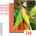 Selfie With Lay (EXO)
