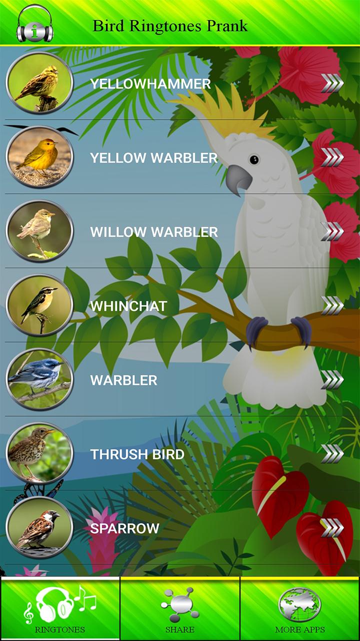 Bird Ringtones Prank For Android Apk Download - roblox english flamingo song prank