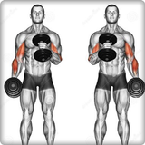 تدريب العضلات للمبتدئين كمال الاجسام أيقونة