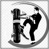 Prática de Wing Chun ícone