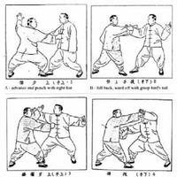 pratique du Wing Chun capture d'écran 1