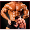 Fitness and Body Building