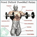 bodybuilding muscle training
