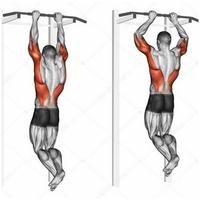 Exercices musculaires corporels Affiche