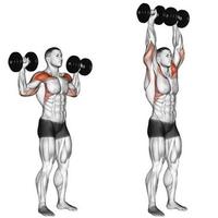 Exercices musculaires corporels capture d'écran 2