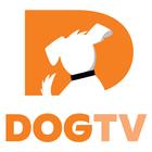 DOGTV ícone