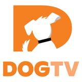 DOGTV vídeos para cães felizes