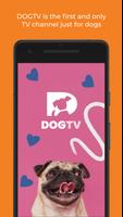 DOGTV پوسٹر