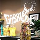 Gabriesse Abbigliamento APK