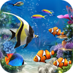 Lively Aquarium Fish Theme