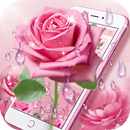 Elegant Pink Rose Theme APK