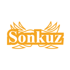 Launcher Sonkuz иконка