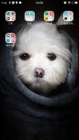 3D Ripple Cute Puppy Launcher Wallpaper Theme capture d'écran 2