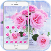 Pink Rose Love Theme