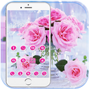 Thème rose amour rose love APK