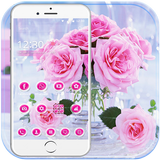 Tema Rosa Amor pink rose icono