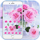 Thema roze roos pink rose-icoon