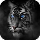آیکون‌ Roar Tiger Theme