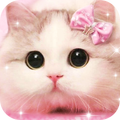 Cute Furry Cat Theme