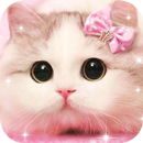 Cute Furry Cat Theme APK