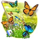 Spring Forest Butterfly Theme APK