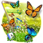 Spring Forest Butterfly Theme biểu tượng