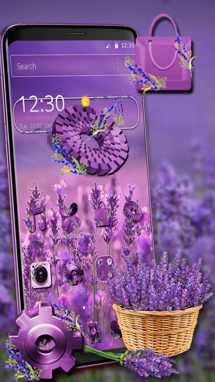 30 Gambar Bunga Lavender Ungu Richa Gambar