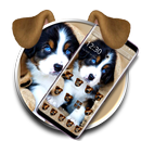 Cute Puppy Dog Theme APK