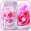 Pink Beautiful Rose Love Theme