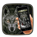 Black Wolf Launcher Theme🐺 APK