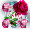 Beautiful Pink Rose Theme APK