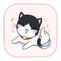 For Cute Meow Theme