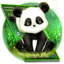 Cute Baby Panda Launcher Theme APK
