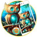 Cute Cartoon Night Owl Theme 🦉 APK