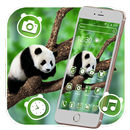 Lazy Panda Theme🐼 APK