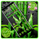 Tema de lanzador de gotas de agua de bambú APK