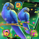 Cute Blue Parrot Theme APK