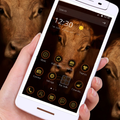 The Cattle Theme