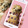 Alpaca Theme