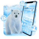 Snow Bear Theme APK