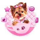 Cute Cup Puppy Theme APK