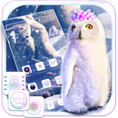 Crystal Isles Snowy Owl Theme APK