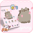 Pink Cute Pusheen Kitty Theme ikon
