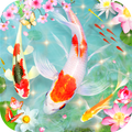 Tema 3D Koi Peixe Aquário