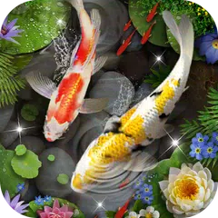 Koi Fish Theme &amp; Lively 3D Ripple Effect