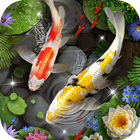 3D koi vissen thema met 3D-rimpeleffect-icoon