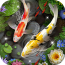 Thème de poissons 3D Koi & 3D Effet d'ondulation APK