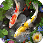 Icona Tema di pesce koi 3D & Effetto ondulazione 3D