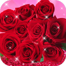 Red Rose Theme APK
